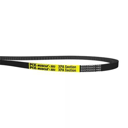 XPA 1120 Lp / PIX-MUSCLE®-XR3 (Erősített)
